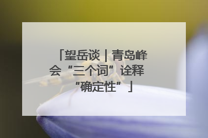 望岳谈｜青岛峰会“三个词”诠释“确定性”