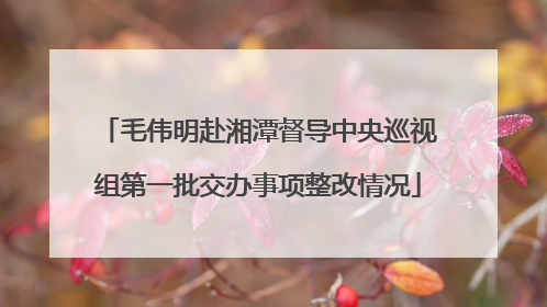 毛伟明赴湘潭督导中央巡视组第一批交办事项整改情况