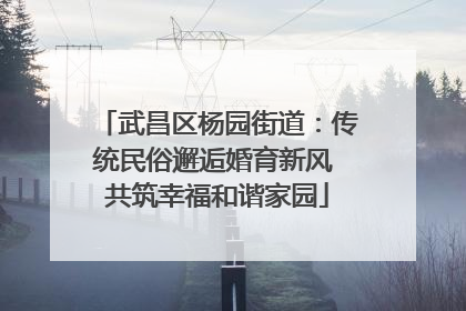 武昌区杨园街道：传统民俗邂逅婚育新风 共筑幸福和谐家园