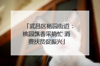武昌区杨园街道：桃园飘香采摘忙 消费扶贫促振兴
