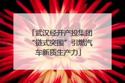 武汉经开产投集团“链式突围”引燃汽车新质生产力