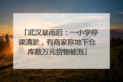 武汉暴雨后：一小学停课清淤，有商家称地下仓库数万元货物被泡