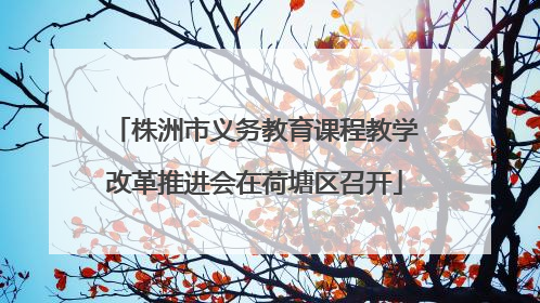 株洲市义务教育课程教学改革推进会在荷塘区召开
