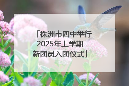 株洲市四中举行2025年上学期新团员入团仪式