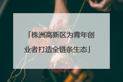 株洲高新区为青年创业者打造全链条生态