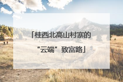 桂西北高山村寨的“云端”致富路
