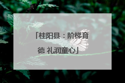 桂阳县：阶梯育德 礼润童心