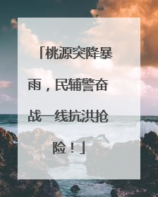 桃源突降暴雨，民辅警奋战一线抗洪抢险！