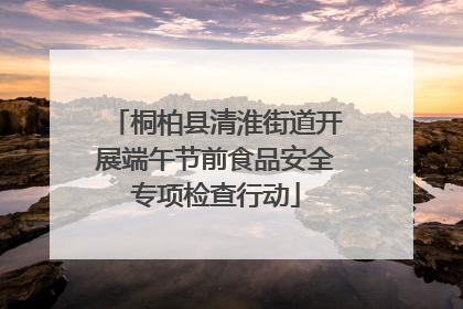 桐柏县清淮街道开展端午节前食品安全专项检查行动