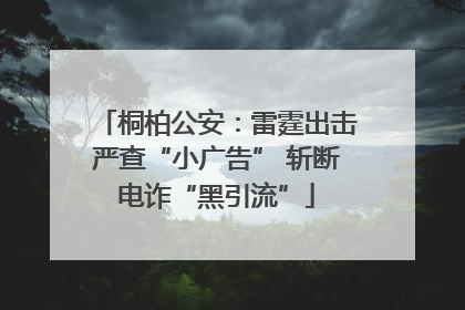 桐柏公安：雷霆出击严查“小广告” 斩断电诈“黑引流”