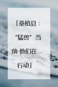 桑植县：“猛兽”当前 他们在行动