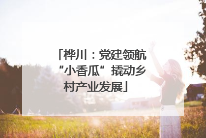 桦川：党建领航“小香瓜”撬动乡村产业发展