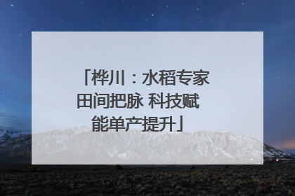 桦川：水稻专家田间把脉 科技赋能单产提升