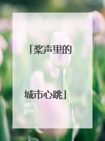桨声里的城市心跳