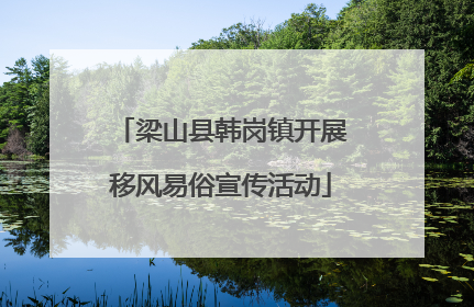 梁山县韩岗镇开展移风易俗宣传活动