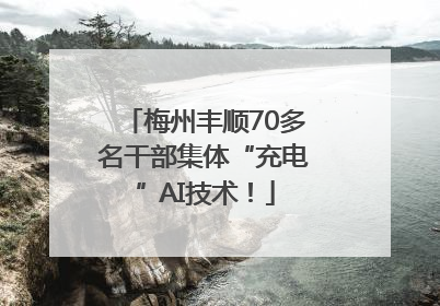 梅州丰顺70多名干部集体“充电”AI技术！