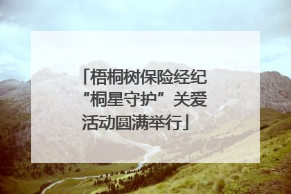 梧桐树保险经纪“桐星守护”关爱活动圆满举行