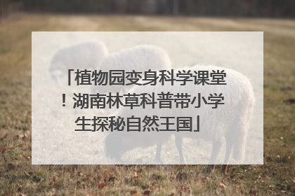 植物园变身科学课堂！湖南林草科普带小学生探秘自然王国