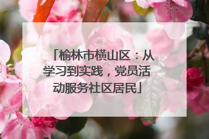 榆林市横山区：从学习到实践，党员活动服务社区居民