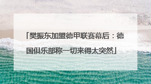 樊振东加盟德甲联赛幕后：德国俱乐部称一切来得太突然