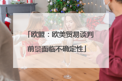 欧盟：欧美贸易谈判前景面临不确定性