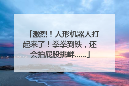 激烈！人形机器人打起来了！拳拳到铁，还会拍屁股挑衅……