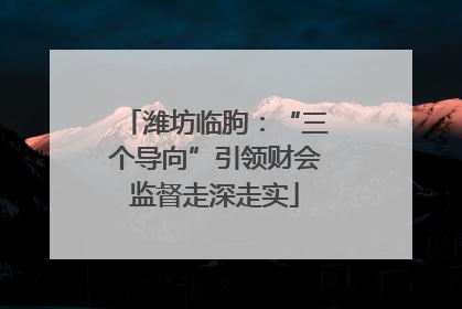 潍坊临朐：“三个导向”引领财会监督走深走实