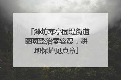 潍坊寒亭固堤街道图斑整治零容忍，耕地保护见真章