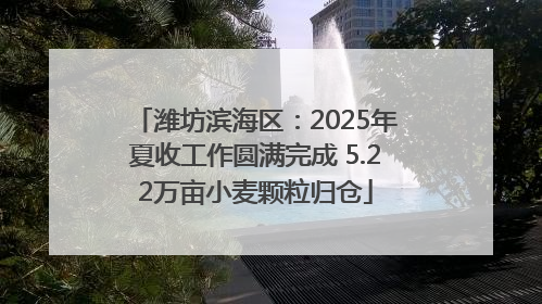 潍坊滨海区：2025年夏收工作圆满完成 5.22万亩小麦颗粒归仓