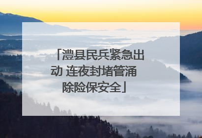 澧县民兵紧急出动 连夜封堵管涌除险保安全