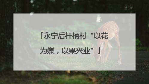 永宁后杆柄村“以花为媒，以果兴业”