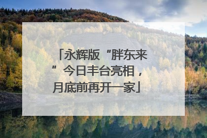 永辉版“胖东来”今日丰台亮相，月底前再开一家
