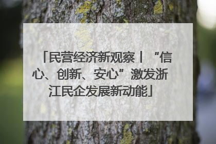 民营经济新观察丨“信心、创新、安心”激发浙江民企发展新动能