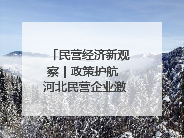 民营经济新观察｜政策护航 河北民营企业激发新“冀”遇