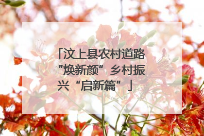 汶上县农村道路“焕新颜”乡村振兴“启新篇”
