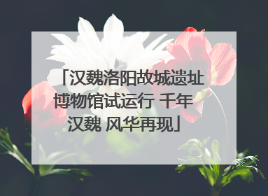 汉魏洛阳故城遗址博物馆试运行 千年汉魏 风华再现