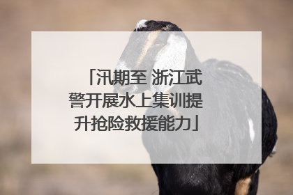 汛期至 浙江武警开展水上集训提升抢险救援能力