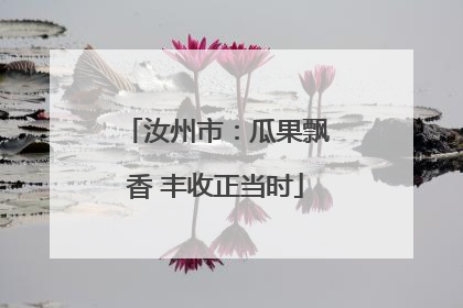 汝州市:瓜果飘香 丰收正当时