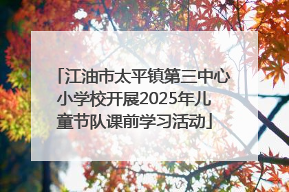 江油市太平镇第三中心小学校开展2025年儿童节队课前学习活动