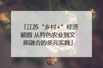 江苏“乡村+”经济破圈 从特色农业到文旅融合的多元实践