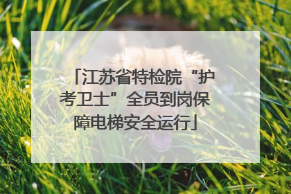 江苏省特检院“护考卫士”全员到岗保障电梯安全运行
