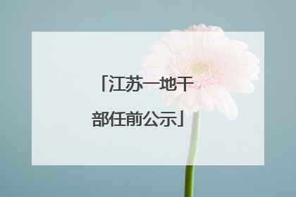 江苏一地干部任前公示