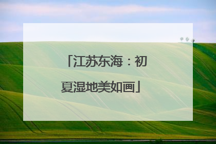 江苏东海：初夏湿地美如画