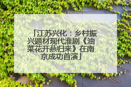 江苏兴化：乡村振兴题材现代淮剧《油菜花开燕归来》在南京成功首演