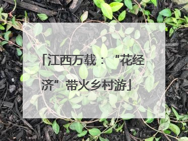 江西万载：“花经济”带火乡村游
