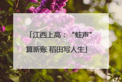 江西上高：“蛙声”算新账 稻田写人生