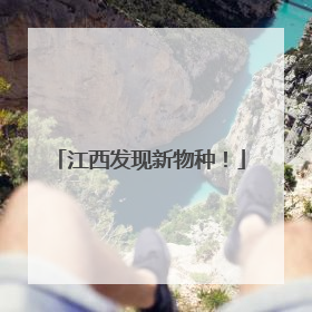 江西发现新物种！