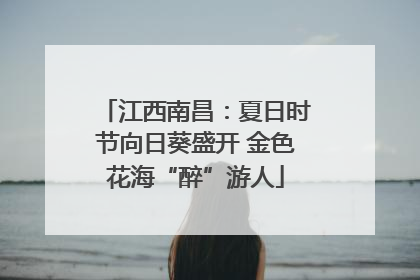 江西南昌：夏日时节向日葵盛开 金色花海“醉”游人