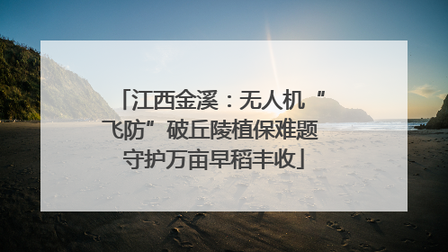 江西金溪：无人机“飞防”破丘陵植保难题 守护万亩早稻丰收
