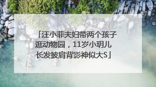 汪小菲夫妇带两个孩子逛动物园，11岁小玥儿长发披肩背影神似大S